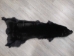 Black Dyed Fox Skin: Fashion Quality: Gallery Item - 180-06-FQAA-G02 (Y2F)