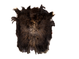 Musk Ox Hide: Gallery Item 