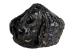 Alligator Foot: Jumbo: 7": Gallery Item - 21-AG-J2-G6415 (Y1XC12)