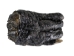 Alligator Foot: Jumbo: 7.5": Gallery Item - 21-AG-J2-G6416 (Y1XC12)