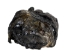 Alligator Foot: Jumbo: 7.5": Gallery Item - 21-AG-J2-G6416 (Y1XC12)