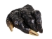 Alligator Foot: Jumbo: 7.5": Gallery Item - 21-AG-J2-G6416 (Y1XC12)