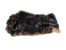 Alligator Foot: Jumbo: 7.5": Gallery Item - 21-AG-J2-G6416 (Y1XC12)