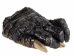 Alligator Foot: Jumbo: 7.5": Gallery Item - 21-AG-J2-G6416 (Y1XC12)