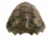 Snapping Turtle Shell with Plastron: 11": Gallery Item - 229-WP-1011-G6666 (Y3KRU)
