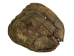 Snapping Turtle Shell with Plastron: 11": Gallery Item - 229-WP-1011-G6668 (Y3K)
