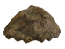 Snapping Turtle Shell with Plastron: 11": Gallery Item - 229-WP-1011-G6668 (Y3K)