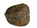 Snapping Turtle Shell with Plastron: 11": Gallery Item - 229-WP-1011-G6668 (Y3K)
