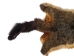 Australian Opossum Skin: #1: Gray: Gallery Item - 259-30-G6325 (Y1K)