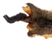 Australian Opossum Skin: #1: Gray: Gallery Item - 259-30-G6326 (Y1K)