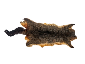 Australian Opossum Skin: #1: Gray: Gallery Item 