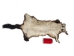Australian Opossum Skin: #1: Rusty Brown: Gallery Item - 259-40-G6327 (Y3KRK)