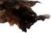 Australian Opossum Skin: #1: Rusty Brown: Gallery Item - 259-40-G6327 (Y3KRK)