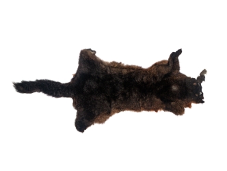 Australian Opossum Skin: #1: Rusty Brown: Gallery Item 