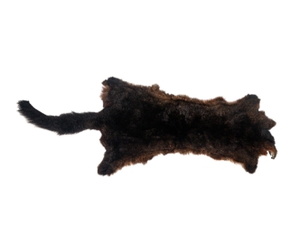 Australian Opossum Skin: #1: Rusty Brown: Gallery Item 