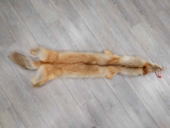 Craft Grade Coyote Skin: Gallery Item 
