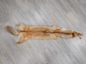 Craft Grade Coyote Skin: Gallery Item 
