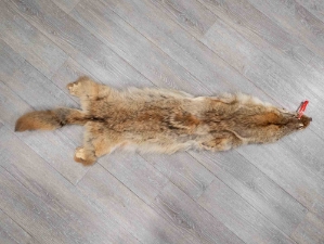 Craft Grade Coyote Skin: Gallery Item 