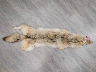 Craft Grade Coyote Skin: Gallery Item 