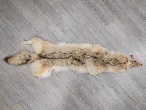 Craft Grade Coyote Skin: Gallery Item 