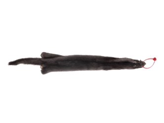 Female Ranch Mink Skin: Blue Iris: Gallery Item 