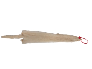 Female Ranch Mink Skin: Pearl: Gallery Item 