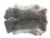 Czech #1/#2 Breeder Rabbit Skin: Silver Chinchilla: Gallery Item - 283-1-CZNCHS-G4070 (Y2HRJ)