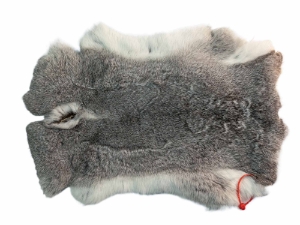 Czech #1/#2 Breeder Rabbit Skin: Silver Chinchilla: Gallery Item 
