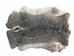Czech #1/#2 Breeder Rabbit Skin: Silver Chinchilla: Gallery Item - 283-1-CZNCHS-G4070 (Y2H)