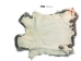 Czech #1/#2 Breeder Rabbit Skin: Silver Chinchilla: Gallery Item - 283-1-CZNCHS-G4071 (Y2HRJ)