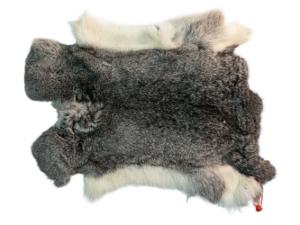 Czech #1/#2 Breeder Rabbit Skin: Silver Chinchilla: Gallery Item 