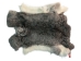 Czech #1/#2 Breeder Rabbit Skin: Silver Chinchilla: Gallery Item - 283-1-CZNCHS-G4071 (Y2HRJ)