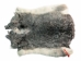 Czech #1/#2 Breeder Rabbit Skin: Silver Chinchilla: Gallery Item - 283-1-CZNCHS-G4072 (Y2HRJ)