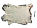 Czech #1/#2 Breeder Rabbit Skin: Silver Chinchilla: Gallery Item - 283-1-CZNCHS-G4073 (Y2HRJ)