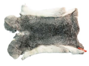 Czech #1/#2 Breeder Rabbit Skin: Silver Chinchilla: Gallery Item 