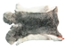 Czech #1/#2 Breeder Rabbit Skin: Silver Chinchilla: Gallery Item - 283-1-CZNCHS-G4073 (Y2H)