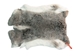 Czech #1/#2 Breeder Rabbit Skin: Silver Chinchilla: Gallery Item - 283-1-CZNCHS-G4074 (Y2H)