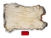 Hungarian Heavy Rabbit Skin: Bunny Brown: Jumbo: Gallery Item - 283-1-HUNBBJ-G2258 (Y2IRE)