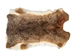 Hungarian Heavy Rabbit Skin: Bunny Brown: Jumbo: Gallery Item - 283-1-HUNBBJ-G2258 (Y3J)