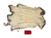 Hungarian Heavy Rabbit Skin: Bunny Brown: Jumbo: Gallery Item - 283-1-HUNBBJ-G2259 (Y2IRE)
