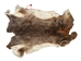 Hungarian Heavy Rabbit Skin: Bunny Brown: Jumbo: Gallery Item - 283-1-HUNBBJ-G2259 (Y3J)