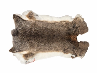 Hungarian Heavy Rabbit Skin: Bunny Brown: Jumbo: Gallery Item 