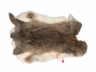 Hungarian Heavy Rabbit Skin: Bunny Brown: Jumbo: Gallery Item 