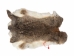 Hungarian Heavy Rabbit Skin: Bunny Brown: Jumbo: Gallery Item - 283-1-HUNBBJ-G2495 (Y2IRE)