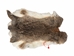 Hungarian Heavy Rabbit Skin: Bunny Brown: Jumbo: Gallery Item - 283-1-HUNBBJ-G2495 (Y3J)