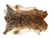 Hungarian Heavy Rabbit Skin: Bunny Brown: Jumbo: Gallery Item - 283-1-HUNBBJ-G2499 (Y3J)