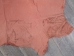 Pig Suede Tannery Run: Salmon: 11.7 sq ft: Gallery Item - 296-1-SM-G1561 (Y1GRB)