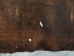 Distressed Woodland Pig Leather: Natural (22.5 sq ft): Gallery Item - 296-DW-NA-G4894 (Y1HRJ)