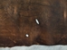 Distressed Woodland Pig Leather: Natural (22.5 sq ft): Gallery Item - 296-DW-NA-G4894 (Y1H)