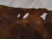 Distressed Woodland Pig Leather: Natural (23.75 sq ft): Gallery Item - 296-DW-NA-G4895 (Y1HRM)